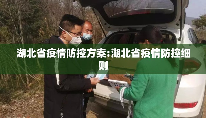 湖北省疫情防控方案:湖北省疫情防控细则