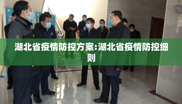湖北省疫情防控方案:湖北省疫情防控细则