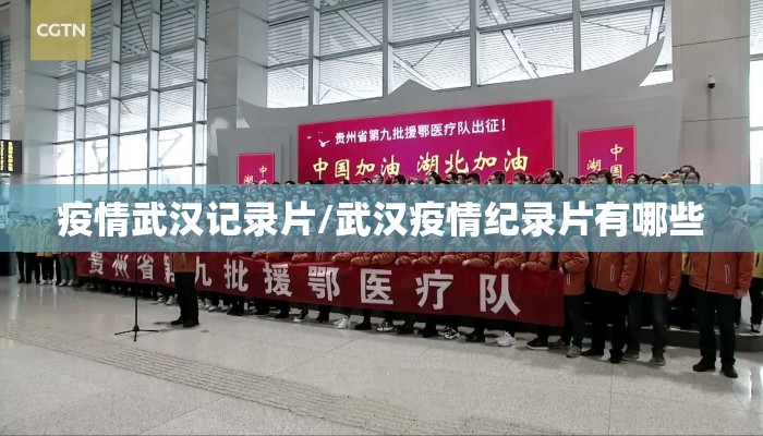 疫情武汉记录片/武汉疫情纪录片有哪些