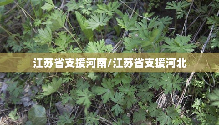 江苏省支援河南/江苏省支援河北