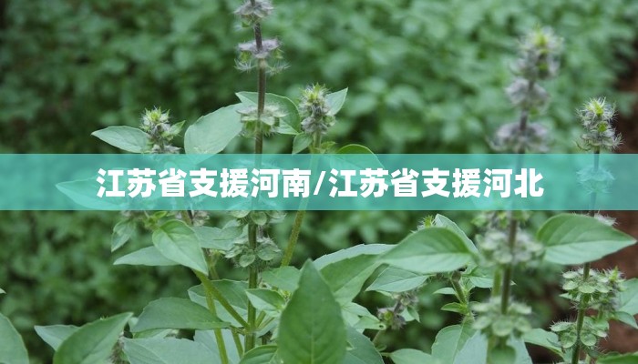 江苏省支援河南/江苏省支援河北