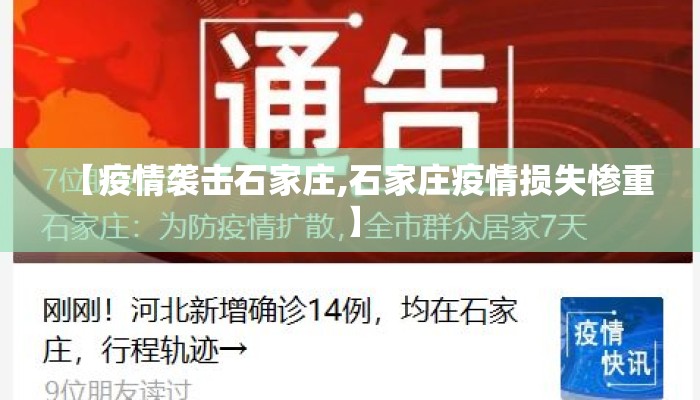 【疫情袭击石家庄,石家庄疫情损失惨重】