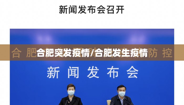 合肥突发疫情/合肥发生疫情