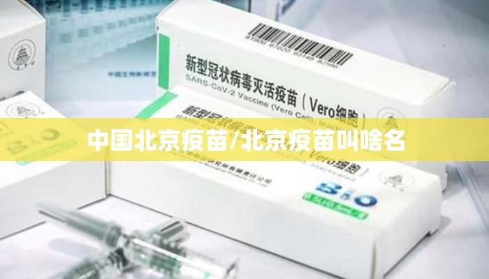 中国北京疫苗/北京疫苗叫啥名
