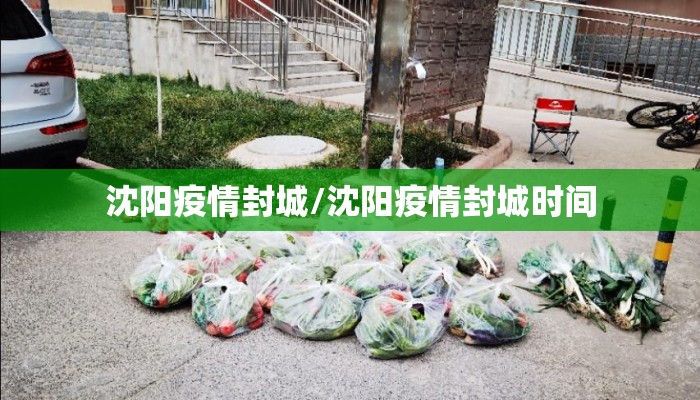 沈阳疫情封城/沈阳疫情封城时间
