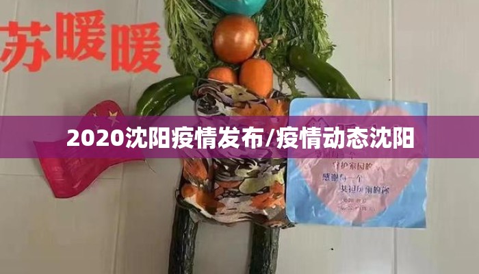 2020沈阳疫情发布/疫情动态沈阳