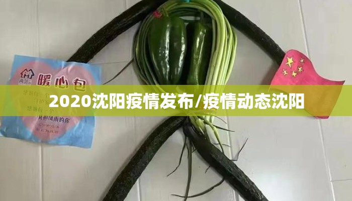 2020沈阳疫情发布/疫情动态沈阳
