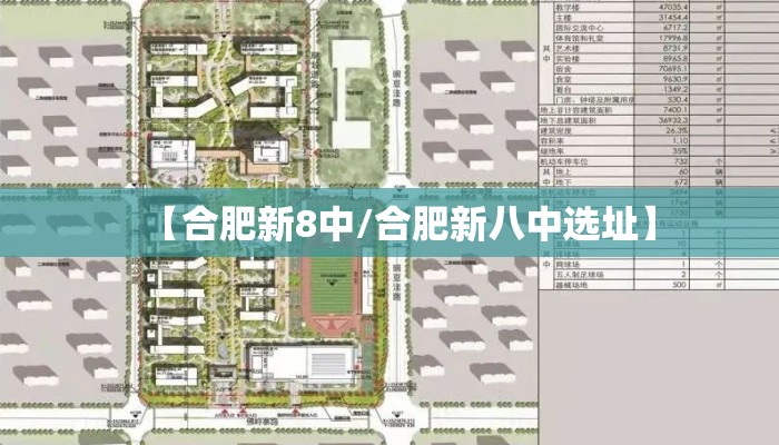 【合肥新8中/合肥新八中选址】