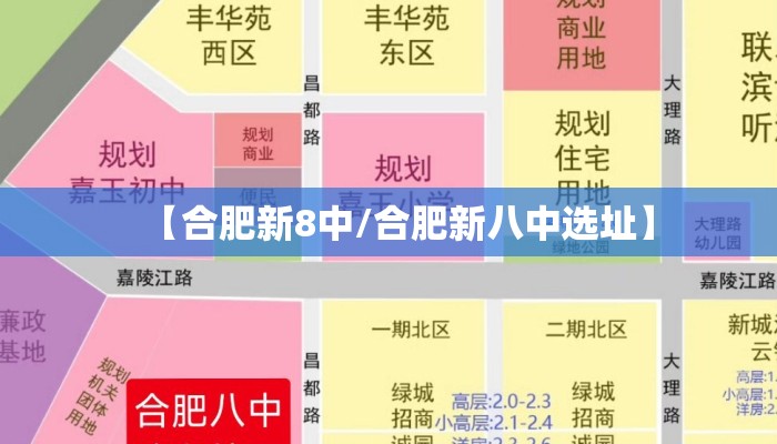 【合肥新8中/合肥新八中选址】