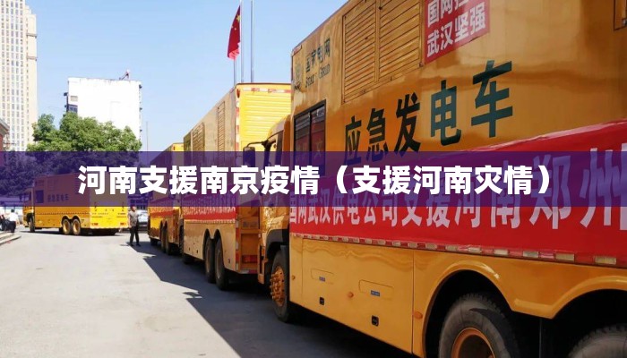河南支援南京疫情（支援河南灾情）