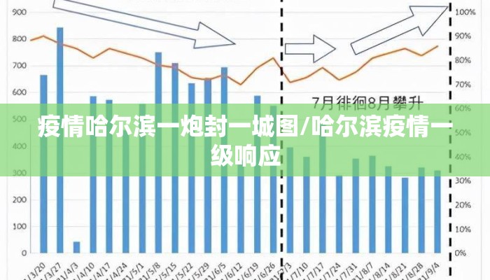 疫情哈尔滨一炮封一城图/哈尔滨疫情一级响应