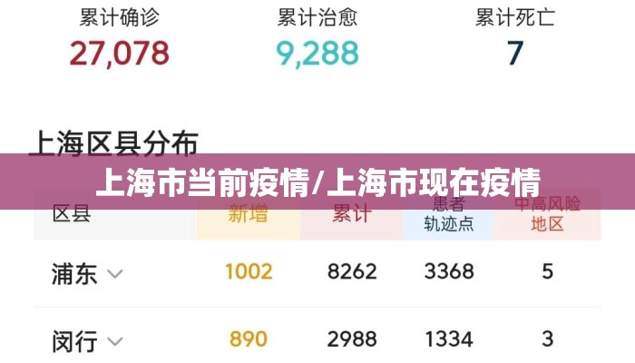 上海市当前疫情/上海市现在疫情