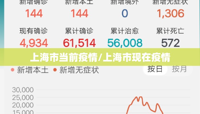 上海市当前疫情/上海市现在疫情