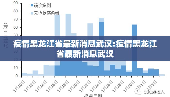 疫情黑龙江省最新消息武汉:疫情黑龙江省最新消息武汉