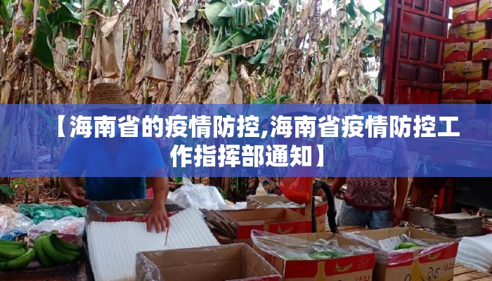 【海南省的疫情防控,海南省疫情防控工作指挥部通知】