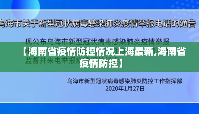【海南省疫情防控情况上海最新,海南省 疫情防控】