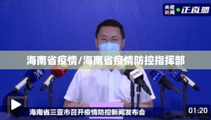 海南省疫情/海南省疫情防控指挥部