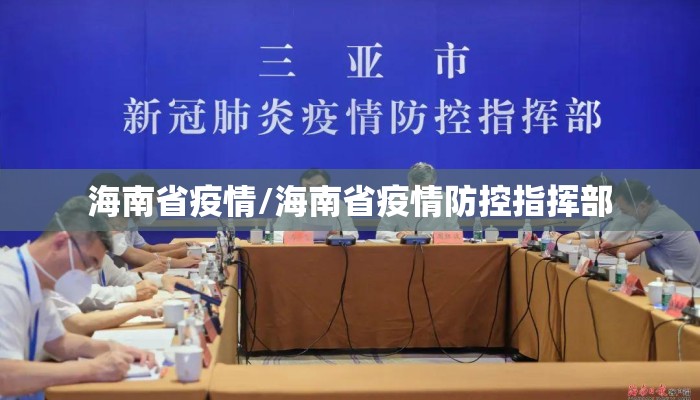 海南省疫情/海南省疫情防控指挥部