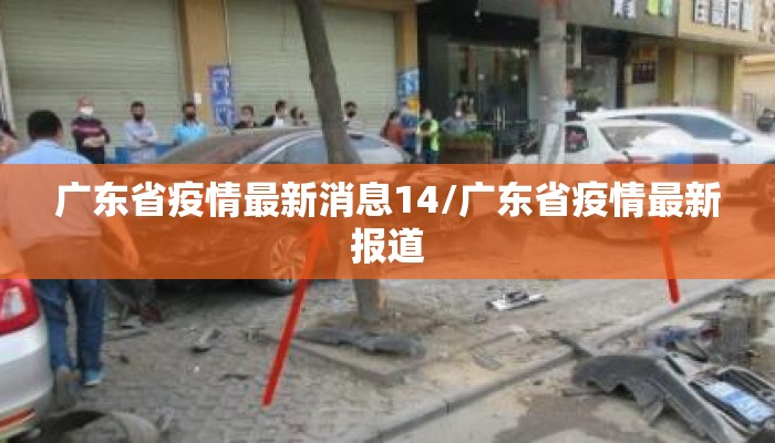 广东省疫情最新消息14/广东省疫情最新报道