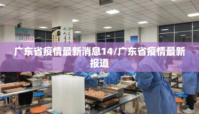 广东省疫情最新消息14/广东省疫情最新报道