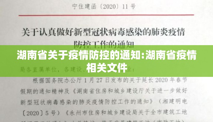 湖南省关于疫情防控的通知:湖南省疫情相关文件