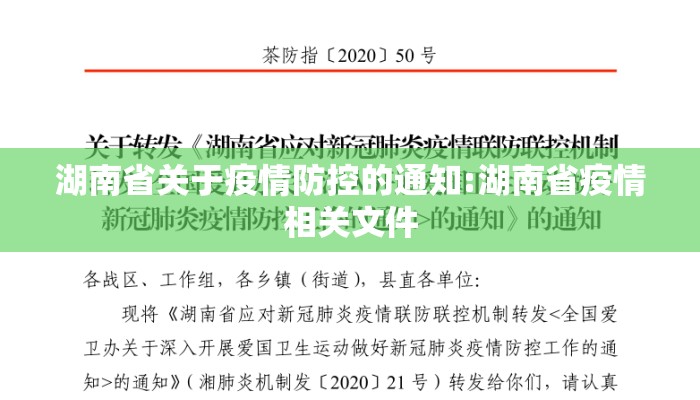 湖南省关于疫情防控的通知:湖南省疫情相关文件