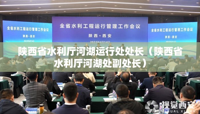 陕西省水利厅河湖运行处处长（陕西省水利厅河湖处副处长）