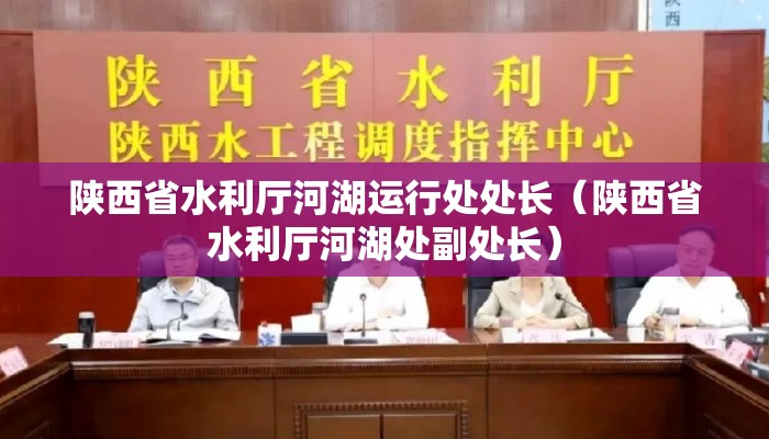 陕西省水利厅河湖运行处处长（陕西省水利厅河湖处副处长）