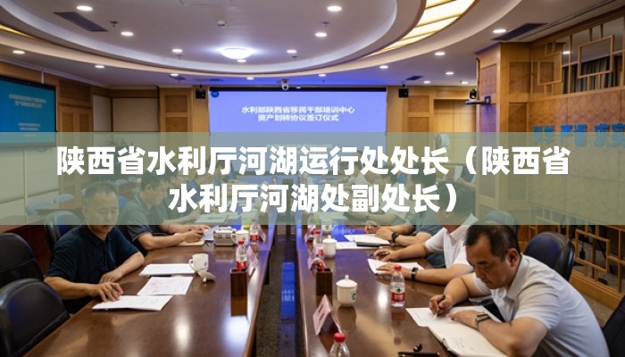 陕西省水利厅河湖运行处处长（陕西省水利厅河湖处副处长）