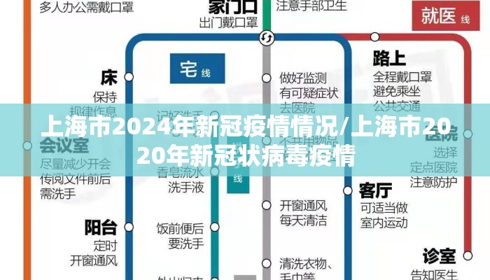 上海市2024年新冠疫情情况/上海市2020年新冠状病毒疫情