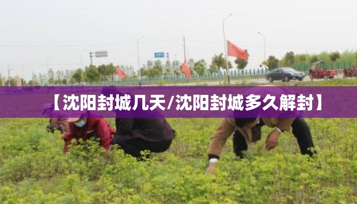 【沈阳封城几天/沈阳封城多久解封】