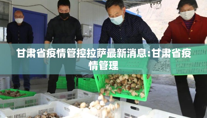 甘肃省疫情管控拉萨最新消息:甘肃省疫情管理