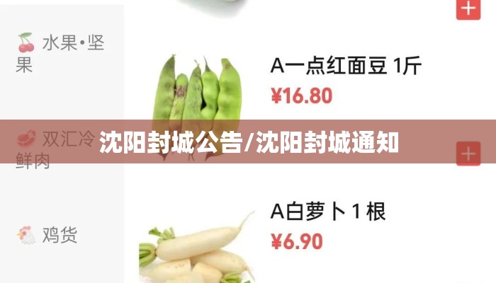 沈阳封城公告/沈阳封城通知