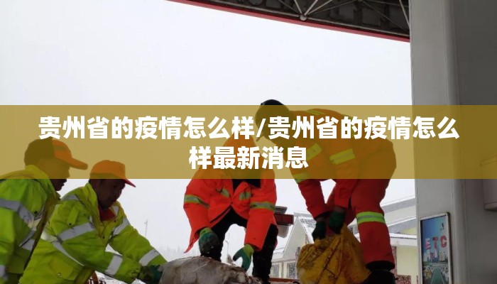 贵州省的疫情怎么样/贵州省的疫情怎么样最新消息