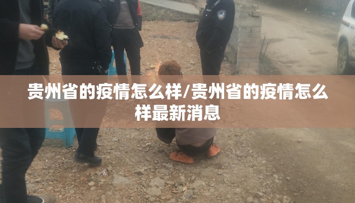 贵州省的疫情怎么样/贵州省的疫情怎么样最新消息