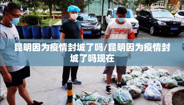 昆明因为疫情封城了吗/昆明因为疫情封城了吗现在
