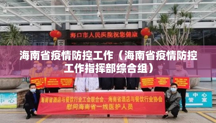 海南省疫情防控工作（海南省疫情防控工作指挥部综合组）