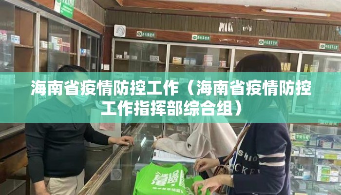 海南省疫情防控工作（海南省疫情防控工作指挥部综合组）