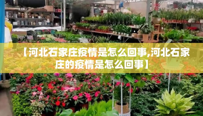 【河北石家庄疫情是怎么回事,河北石家庄的疫情是怎么回事】