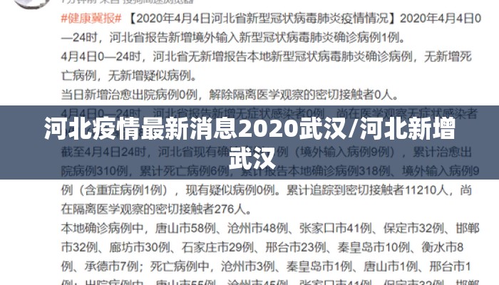 河北疫情最新消息2020武汉/河北新增 武汉
