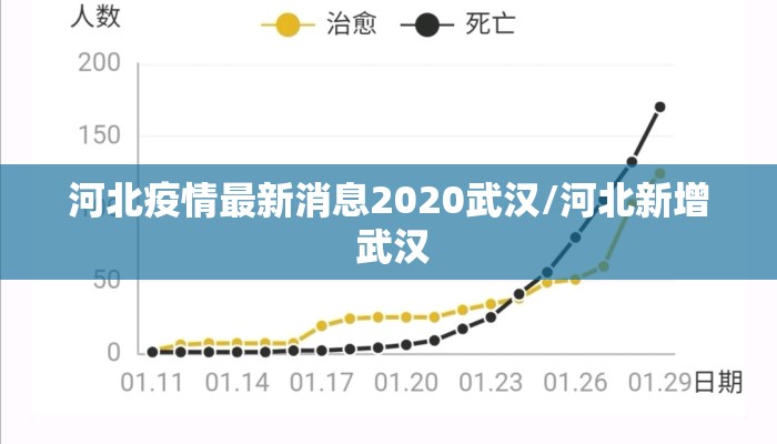 河北疫情最新消息2020武汉/河北新增 武汉