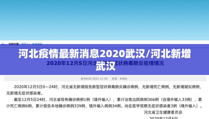 河北疫情最新消息2020武汉/河北新增 武汉