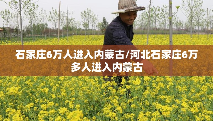 石家庄6万人进入内蒙古/河北石家庄6万多人进入内蒙古