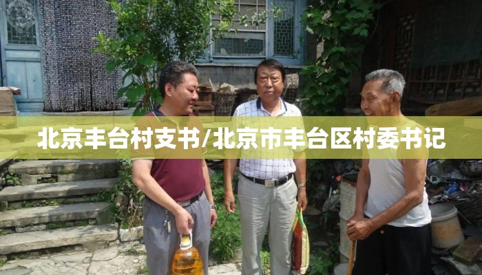北京丰台村支书/北京市丰台区村委书记