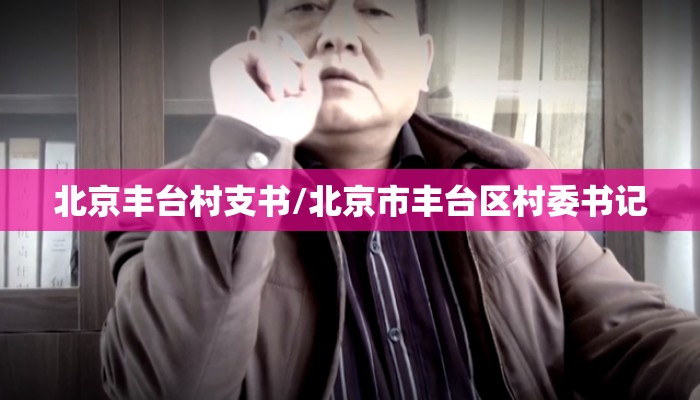 北京丰台村支书/北京市丰台区村委书记