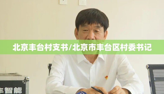 北京丰台村支书/北京市丰台区村委书记