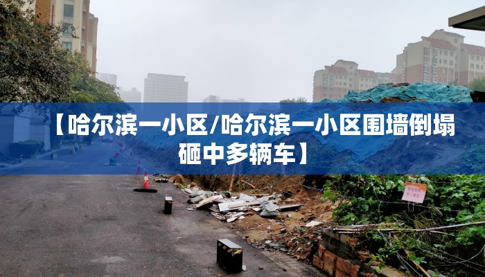 【哈尔滨一小区/哈尔滨一小区围墙倒塌砸中多辆车】