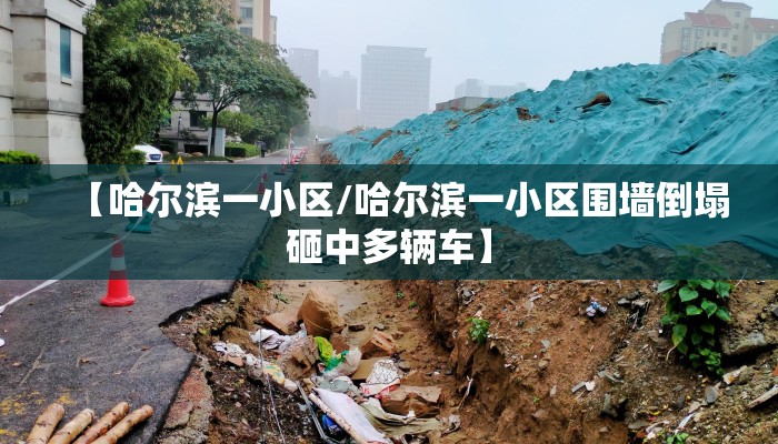 【哈尔滨一小区/哈尔滨一小区围墙倒塌砸中多辆车】