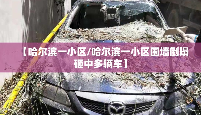 【哈尔滨一小区/哈尔滨一小区围墙倒塌砸中多辆车】