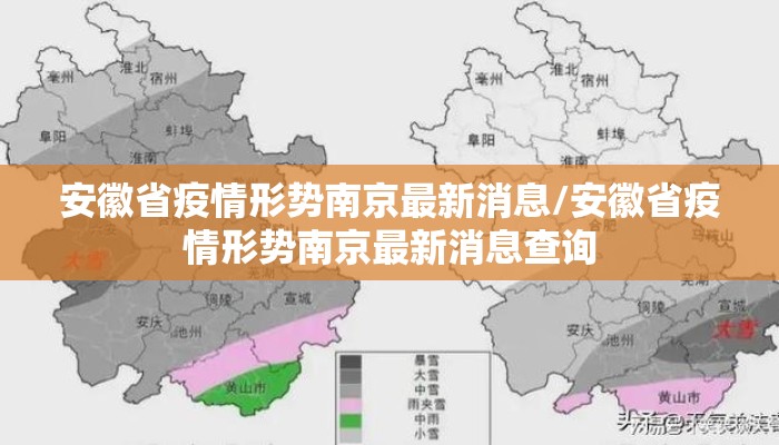 安徽省疫情形势南京最新消息/安徽省疫情形势南京最新消息查询
